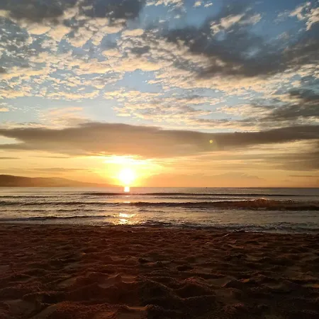 アパート Trakia Plaza Sunny サニービーチ